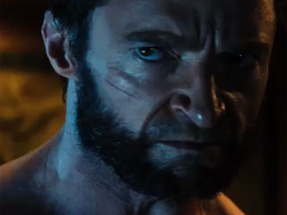 the-wolverine